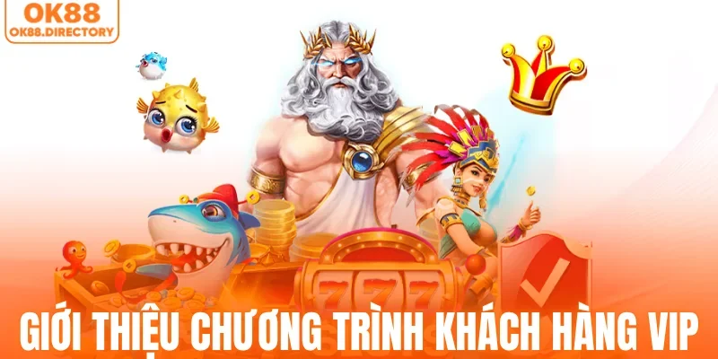 Giới thiệu chương trình khách hàng VIP