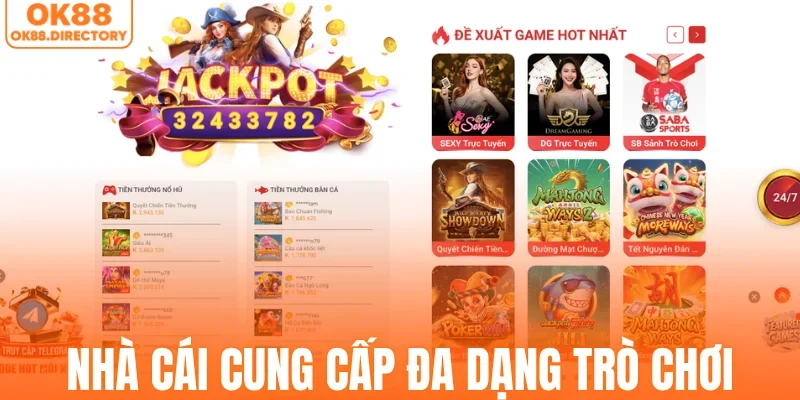 Nhà cái cung cấp đa dạng trò chơi