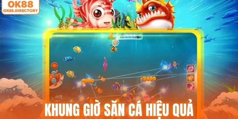 Những khung giờ vàng để săn cá hiệu quả