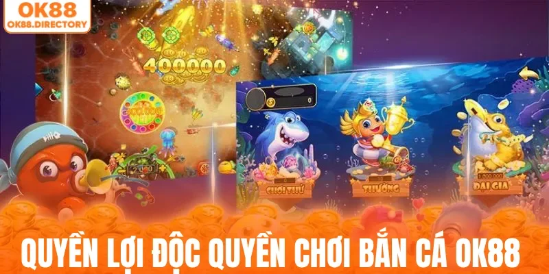 Quyền lợi độc quyền khi chơi bắn cá OK88
