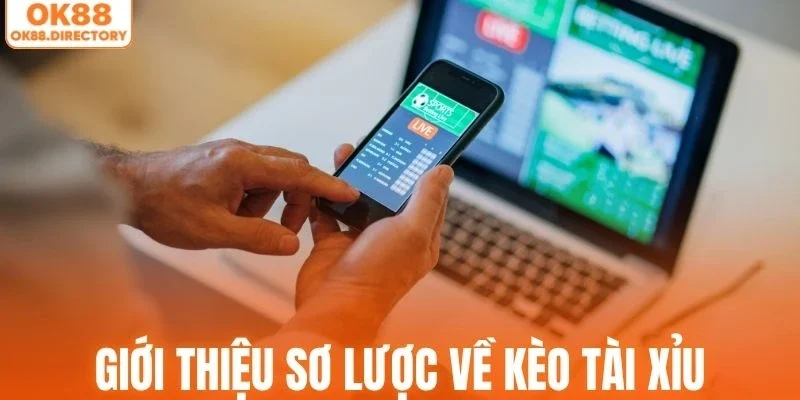 Thông tin sơ lược về thể loại kèo Tài Xỉu