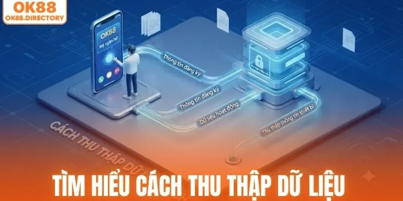 Tìm hiểu cách thu thập dữ liệu của cổng cược OK88