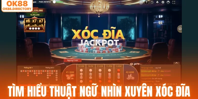 Tìm hiểu thuật ngữ nhìn xuyên xóc đĩa